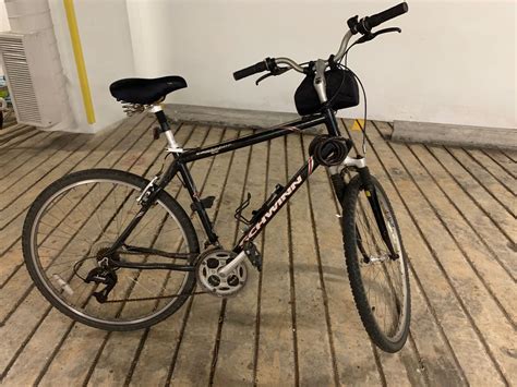 schwinn voyageur v21